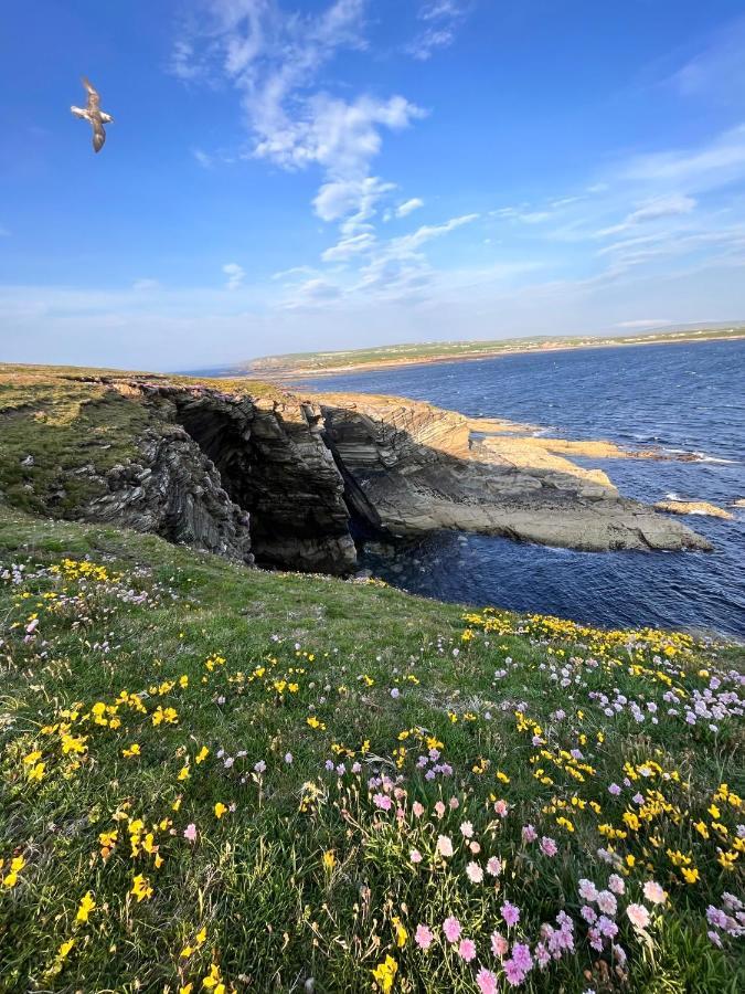 Peedie Cott Self-Catering, Orkney Saint Margarets Hope Eksteriør bilde