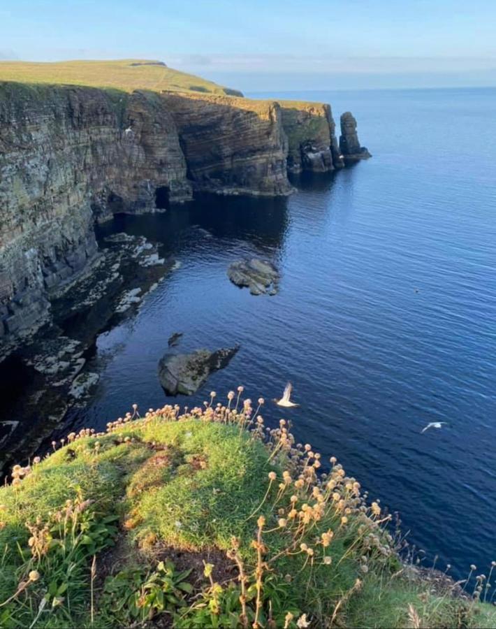 Peedie Cott Self-Catering, Orkney Saint Margarets Hope Eksteriør bilde